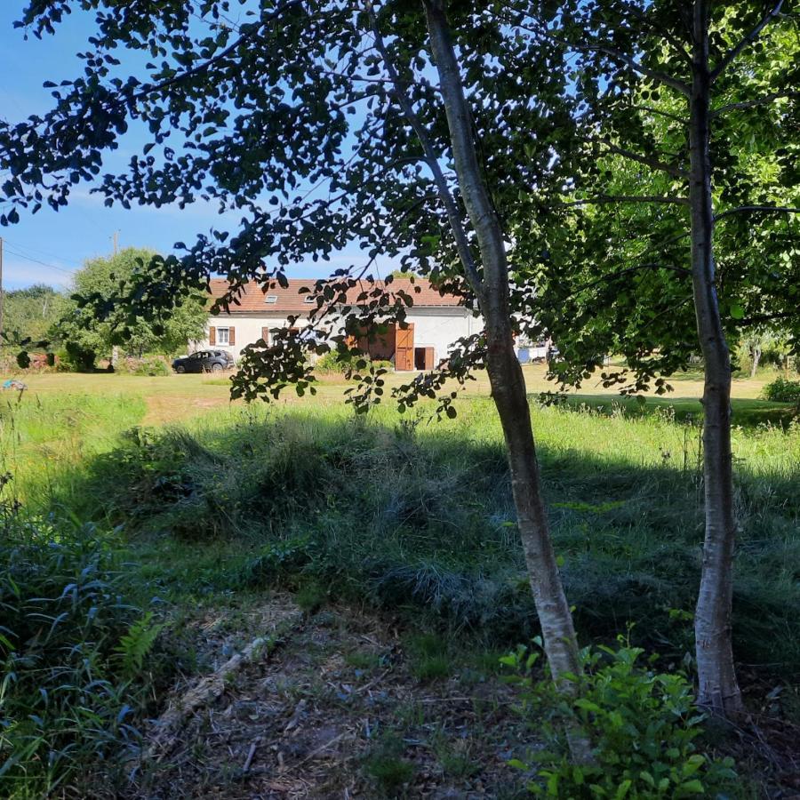 Chambre D'Hote Le Chataignier Planchez Esterno foto